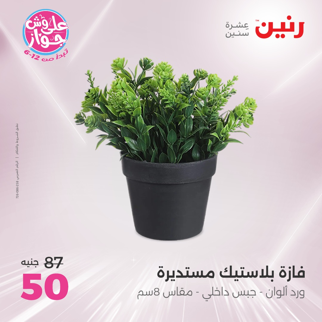 raneen offers from 17jul to 19jun 2025 عروض رنين من 17 يوليو حتى 19 يونيو 2025 صفحة رقم 67